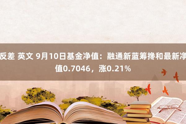 反差 英文 9月10日基金净值：融通新蓝筹搀和最新净值0.7046，涨0.21%