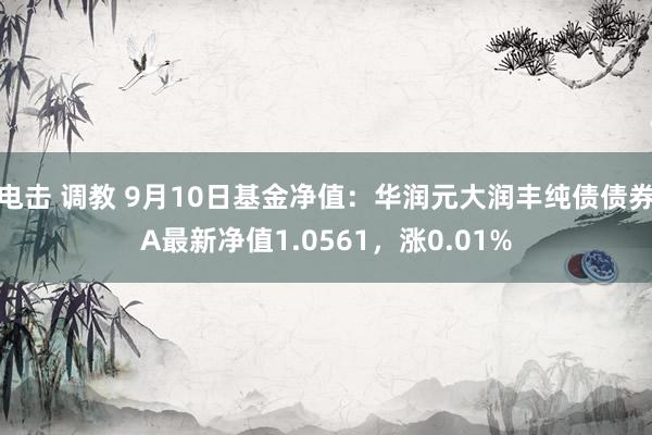 电击 调教 9月10日基金净值：华润元大润丰纯债债券A最新净值1.0561，涨0.01%