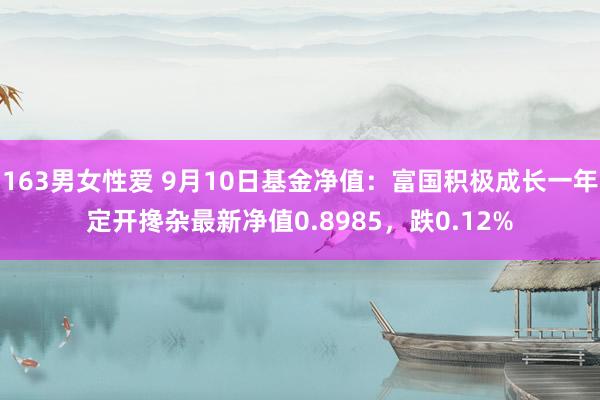 163男女性爱 9月10日基金净值：富国积极成长一年定开搀杂最新净值0.8985，跌0.12%