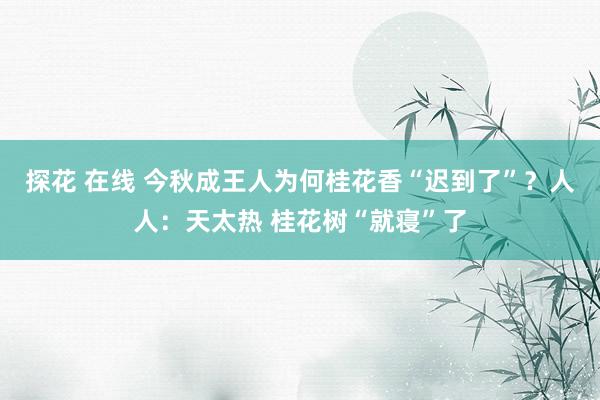 探花 在线 今秋成王人为何桂花香“迟到了”？人人：天太热 桂花树“就寝”了