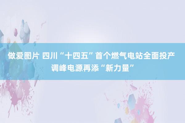 做爱图片 四川“十四五”首个燃气电站全面投产 调峰电源再添“新力量”