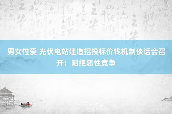 男女性爱 光伏电站建造招投标价钱机制谈话会召开：阻绝恶性竞争