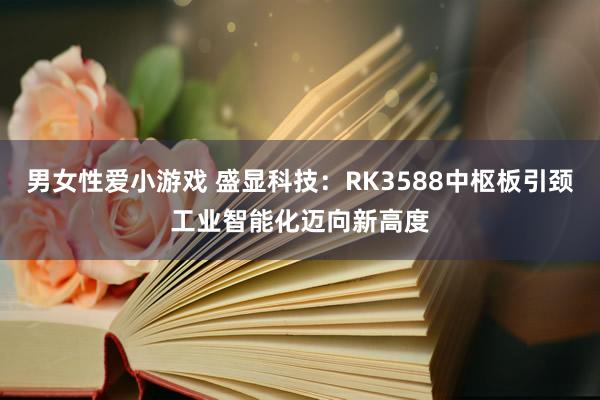 男女性爱小游戏 盛显科技：RK3588中枢板引颈工业智能化迈向新高度