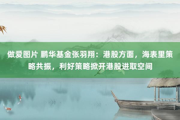 做爱图片 鹏华基金张羽翔：港股方面，海表里策略共振，利好策略掀开港股进取空间