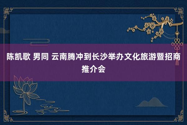 陈凯歌 男同 云南腾冲到长沙举办文化旅游暨招商推介会