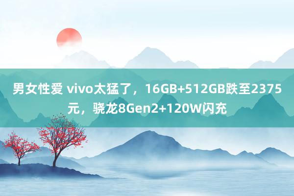 男女性爱 vivo太猛了，16GB+512GB跌至2375元，骁龙8Gen2+120W闪充