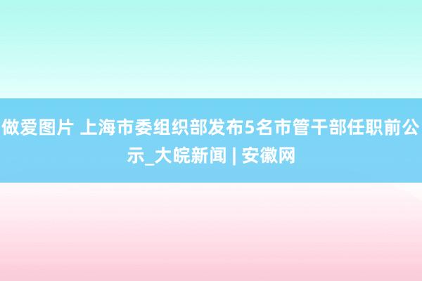 做爱图片 上海市委组织部发布5名市管干部任职前公示_大皖新闻 | 安徽网