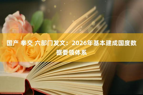 国产 拳交 六部门发文：2026年基本建成国度数据要领体系