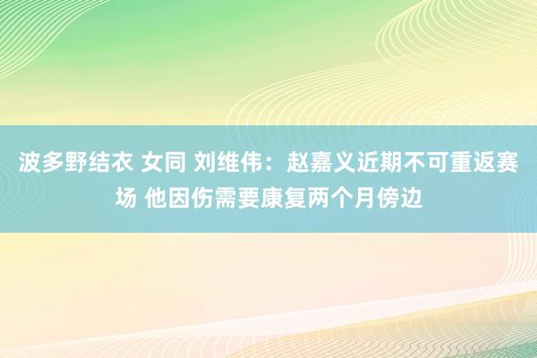 波多野结衣 女同 刘维伟：赵嘉义近期不可重返赛场 他因伤需要康复两个月傍边