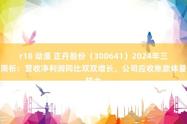 r18 动漫 正丹股份（300641）2024年三季报简析：营收净利润同比双双增长，公司应收账款体量较大