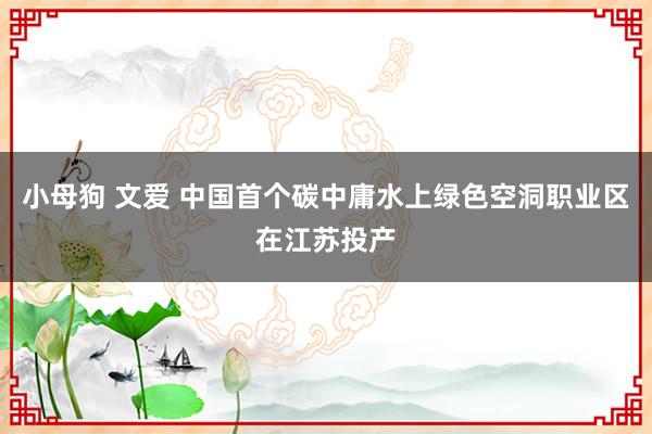 小母狗 文爱 中国首个碳中庸水上绿色空洞职业区在江苏投产