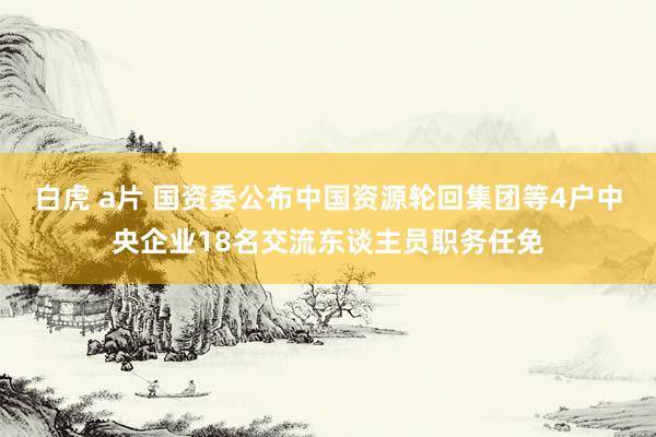 白虎 a片 国资委公布中国资源轮回集团等4户中央企业18名交流东谈主员职务任免