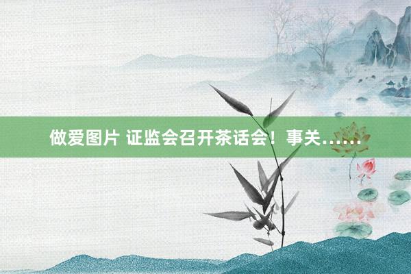 做爱图片 证监会召开茶话会！事关……