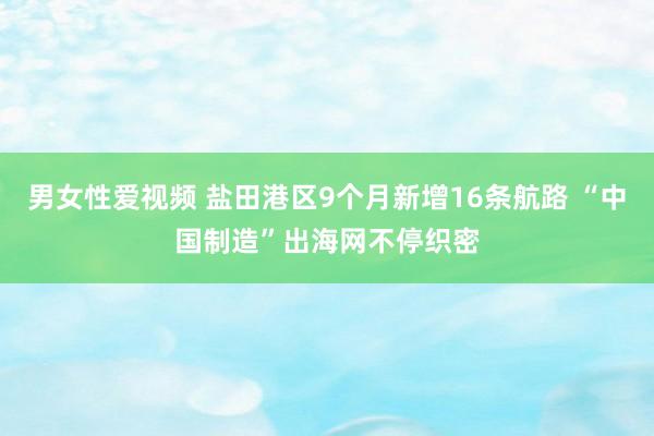 男女性爱视频 盐田港区9个月新增16条航路 “中国制造”出海网不停织密