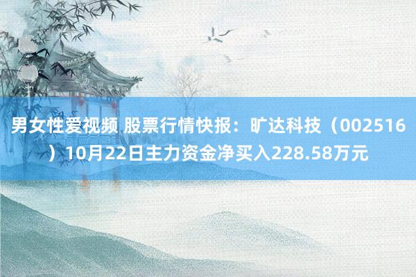 男女性爱视频 股票行情快报：旷达科技（002516）10月22日主力资金净买入228.58万元