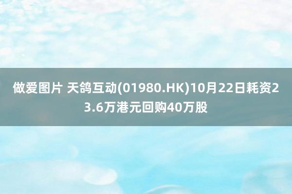 做爱图片 天鸽互动(01980.HK)10月22日耗资23.6万港元回购40万股