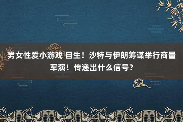 男女性爱小游戏 目生！沙特与伊朗筹谋举行商量军演！传递出什么信号？