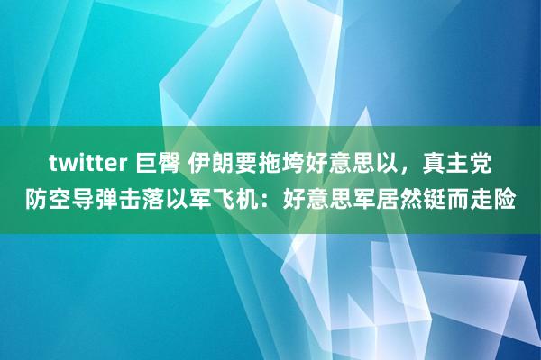 twitter 巨臀 伊朗要拖垮好意思以，真主党防空导弹击落以军飞机：好意思军居然铤而走险