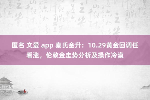 匿名 文爱 app 秦氏金升：10.29黄金回调任看涨，伦敦金走势分析及操作冷漠