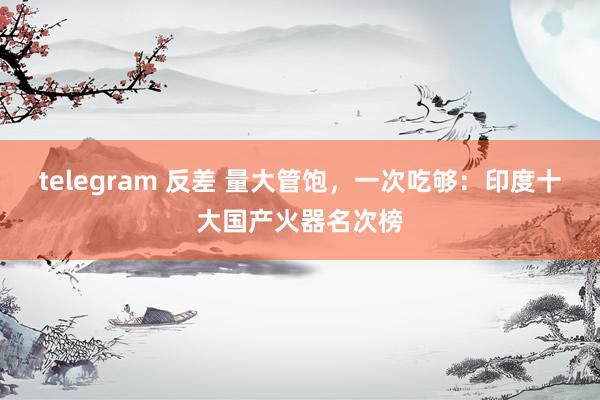 telegram 反差 量大管饱，一次吃够：印度十大国产火器名次榜