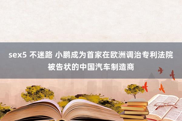 sex5 不迷路 小鹏成为首家在欧洲调治专利法院被告状的中国汽车制造商