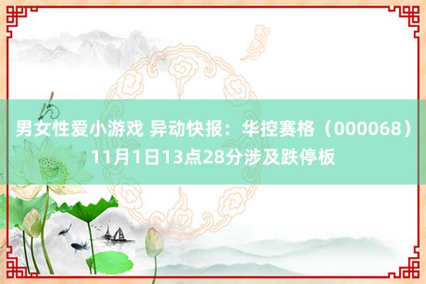 男女性爱小游戏 异动快报：华控赛格（000068）11月1日13点28分涉及跌停板