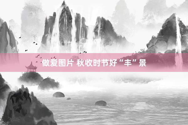 做爱图片 秋收时节好“丰”景