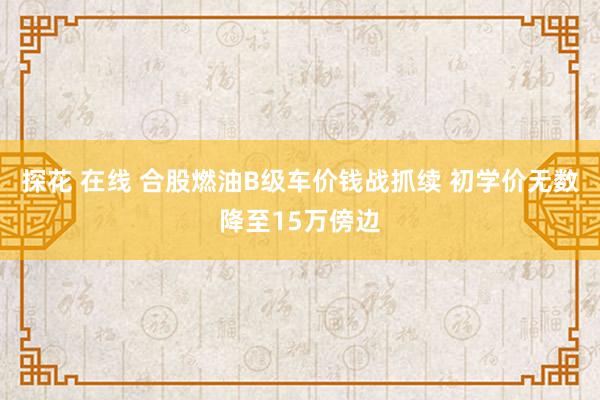 探花 在线 合股燃油B级车价钱战抓续 初学价无数降至15万傍边