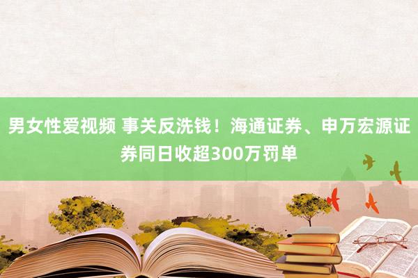 男女性爱视频 事关反洗钱！海通证券、申万宏源证券同日收超300万罚单