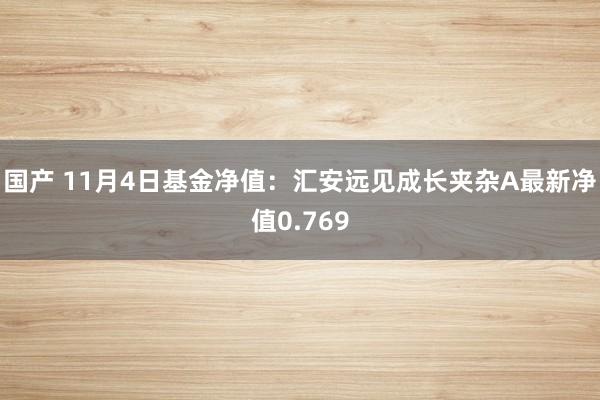 国产 11月4日基金净值：汇安远见成长夹杂A最新净值0.769