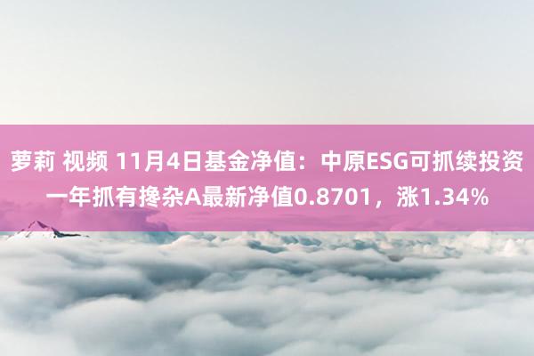 萝莉 视频 11月4日基金净值：中原ESG可抓续投资一年抓有搀杂A最新净值0.8701，涨1.34%