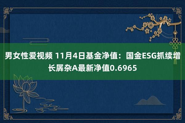 男女性爱视频 11月4日基金净值：国金ESG抓续增长羼杂A最新净值0.6965