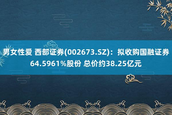 男女性爱 西部证券(002673.SZ)：拟收购国融证券64.5961%股份 总价约38.25亿元