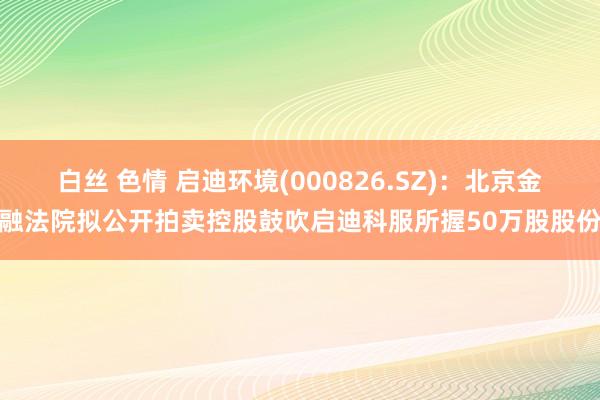 白丝 色情 启迪环境(000826.SZ)：北京金融法院拟公开拍卖控股鼓吹启迪科服所握50万股股份