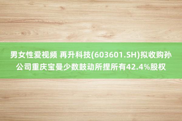 男女性爱视频 再升科技(603601.SH)拟收购孙公司重庆宝曼少数鼓动所捏所有42.4%股权