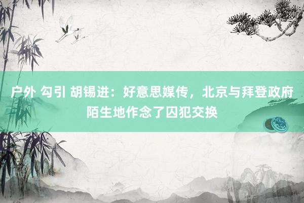 户外 勾引 胡锡进：好意思媒传，北京与拜登政府陌生地作念了囚犯交换