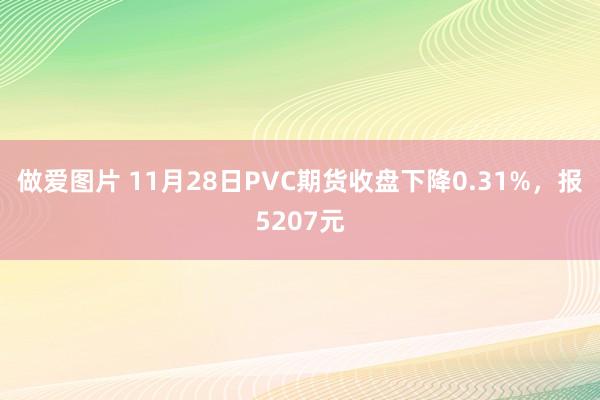 做爱图片 11月28日PVC期货收盘下降0.31%，报5207元