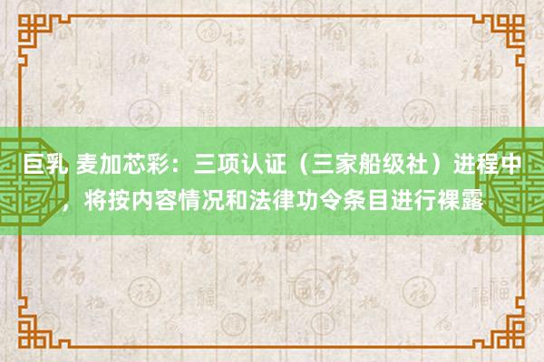 巨乳 麦加芯彩：三项认证（三家船级社）进程中，将按内容情况和法律功令条目进行裸露