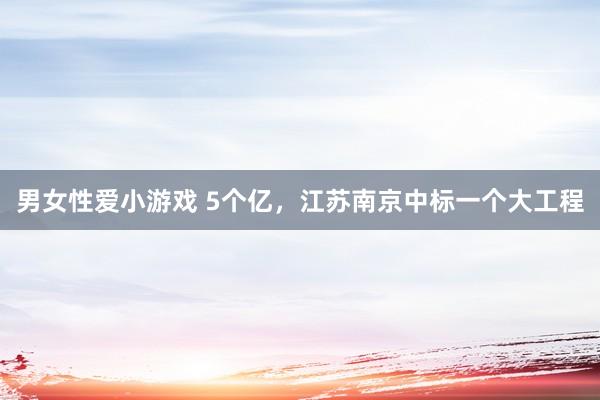 男女性爱小游戏 5个亿，江苏南京中标一个大工程