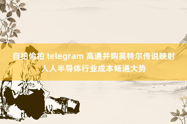 自拍偷拍 telegram 高通并购英特尔传说映射人人半导体行业成本畅通大势