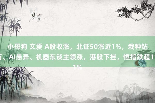 小母狗 文爱 A股收涨，北证50涨近1%，栽种钻石、AI愚弄、机器东谈主领涨，港股下挫，恒指跌超1%