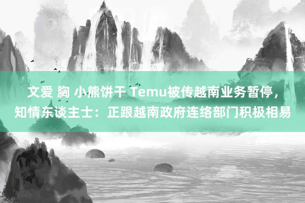 文爱 胸 小熊饼干 Temu被传越南业务暂停，知情东谈主士：正跟越南政府连络部门积极相易