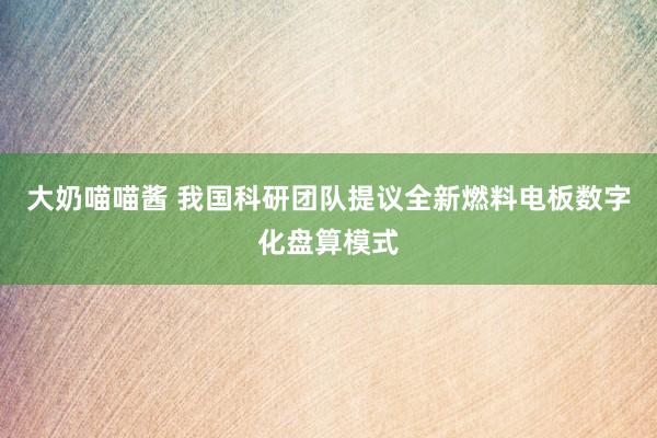 大奶喵喵酱 我国科研团队提议全新燃料电板数字化盘算模式