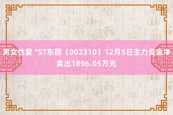 男女性爱 *ST东园（002310）12月5日主力资金净卖出1896.05万元