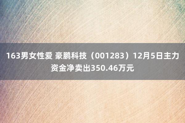 163男女性爱 豪鹏科技（001283）12月5日主力资金净卖出350.46万元