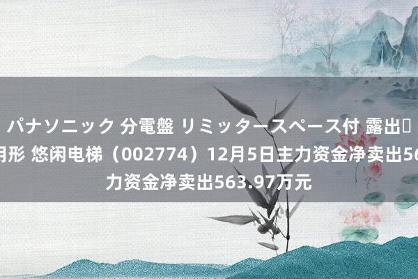 パナソニック 分電盤 リミッタースペース付 露出・半埋込両用形 悠闲电梯（002774）12月5日主力资金净卖出563.97万元