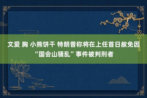 文爱 胸 小熊饼干 特朗普称将在上任首日赦免因“国会山骚乱”事件被判刑者