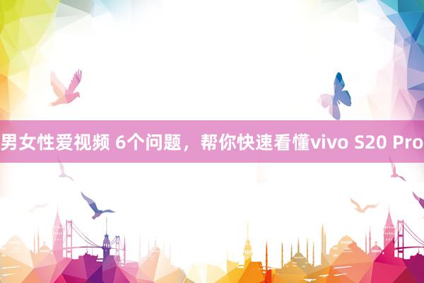 男女性爱视频 6个问题，帮你快速看懂vivo S20 Pro