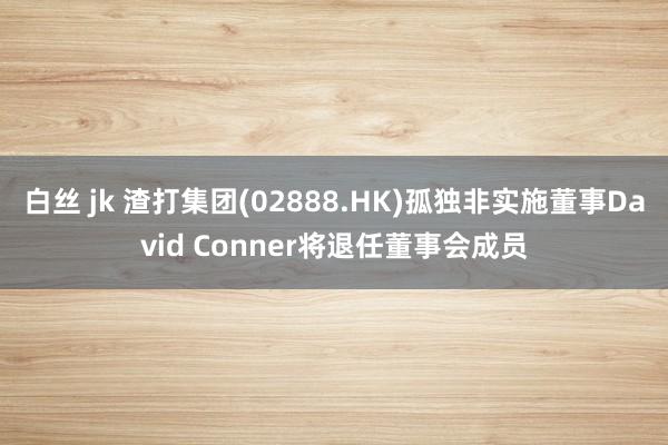 白丝 jk 渣打集团(02888.HK)孤独非实施董事David Conner将退任董事会成员