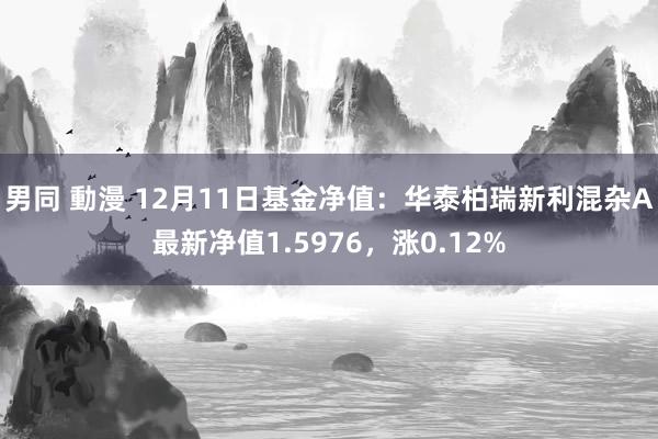 男同 動漫 12月11日基金净值：华泰柏瑞新利混杂A最新净值1.5976，涨0.12%